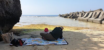 Little Ryukyu Hermit Crab Homestay
