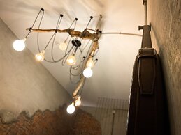 Little Ryukyu Hermit Crab Homestay