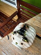 Little Ryukyu Hermit Crab Homestay