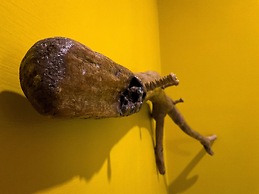 Little Ryukyu Hermit Crab Homestay