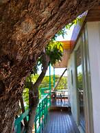 Little Ryukyu Hermit Crab Homestay