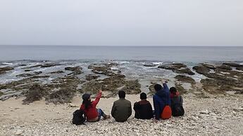 Little Ryukyu Hermit Crab Homestay