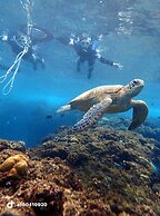 Little Ryukyu Hermit Crab Homestay