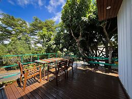 Little Ryukyu Hermit Crab Homestay