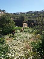 The Stone House Naxos