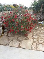 The Stone House Naxos