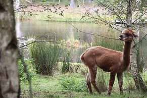 Äventyrscampen in Sövde