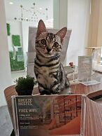 Breeze Hostel Pattaya