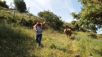 Fontanarossa