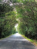 Pensión Amparo Las Hayas