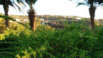 Pensión Amparo Las Hayas