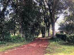 Rancho Coyotepec