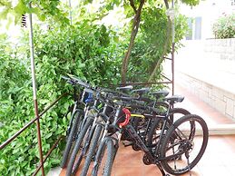 Apartments Ivancevic