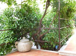 Apartments Ivancevic