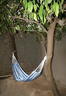 Neoclassical ART-House Bhive