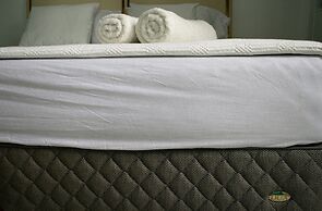 Neoclassical ART-House Bhive