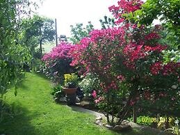 Il Bosco Delle Torte