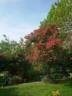 Il Bosco Delle Torte