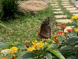 May Tropicall Villas