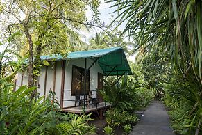 Hotel Tortuguero Beachfront