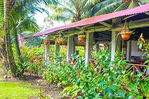 Hotel Tortuguero Beachfront