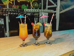 Hotel Tortuguero Beachfront