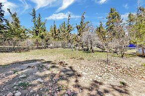 Frank's OLD Bear #149