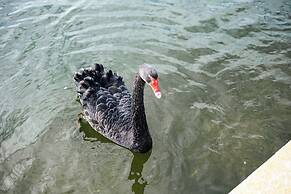 Luxury Waterfront Grand Villa in Melbourne