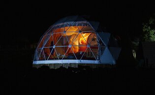 Domescapes in the Vines