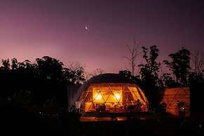 Domescapes in the Vines