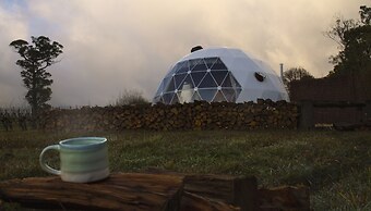 Domescapes in the Vines