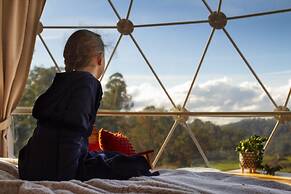 Domescapes in the Vines