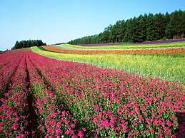LA VISTA Furano Hills Hot Springs
