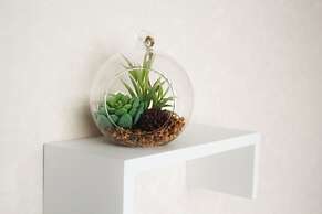 Shirakabanoyado-Akinai