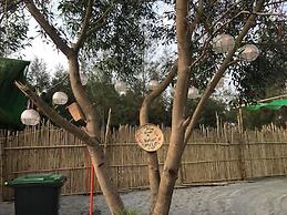 Camp Rofelio Surfing Beach Resort