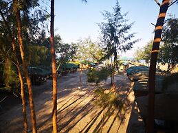 Camp Rofelio Surfing Beach Resort