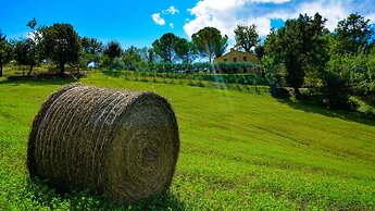 Agriturismo Pascucci