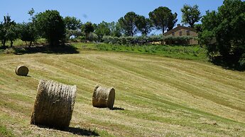Agriturismo Pascucci