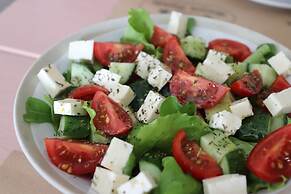 Maison Blanche Ecohouse Mytnitsa