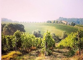 B&B Le Strade del Gavi