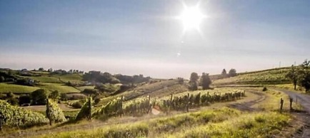 B&B Le Strade del Gavi