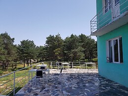 Hotel Tsalka