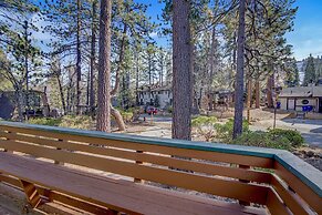 Switzerland SKI Chalet #845