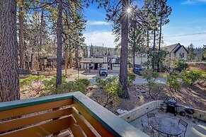 Switzerland SKI Chalet #845