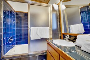 Switzerland SKI Chalet #845