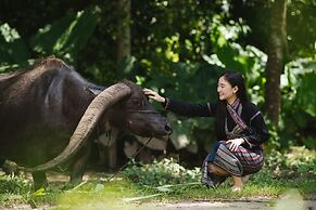 Luxury Camp@Green Jungle Park