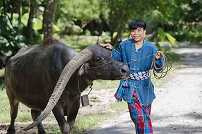 Luxury Camp@Green Jungle Park