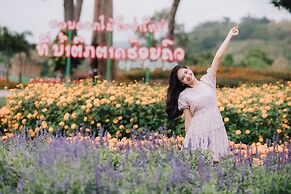 Luxury Camp@Green Jungle Park