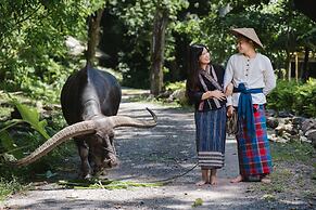 Luxury Camp@Green Jungle Park