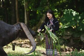 Luxury Camp@Green Jungle Park